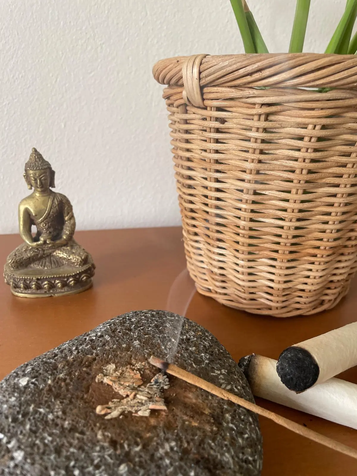 Seminář o podpoře plodnosti z pohledu tradiční čínské medicíny